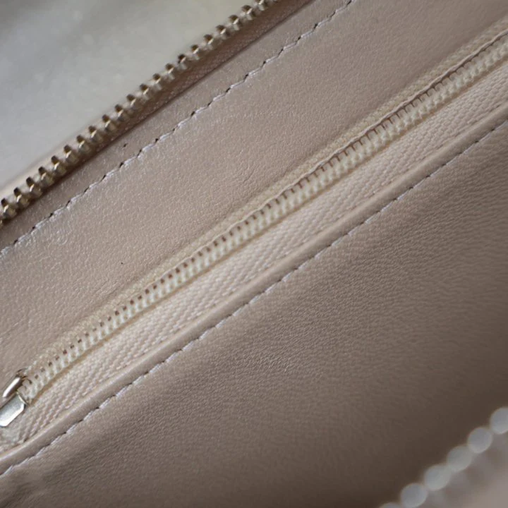 Chanel Metallic Lambskin Phone Holder Wallet On Chain (WOC) - Image 17