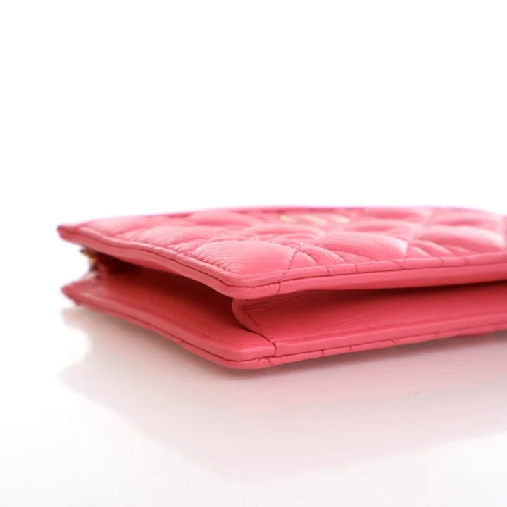 Dior Calfskin Caro Every Dior Pouch - Image 6