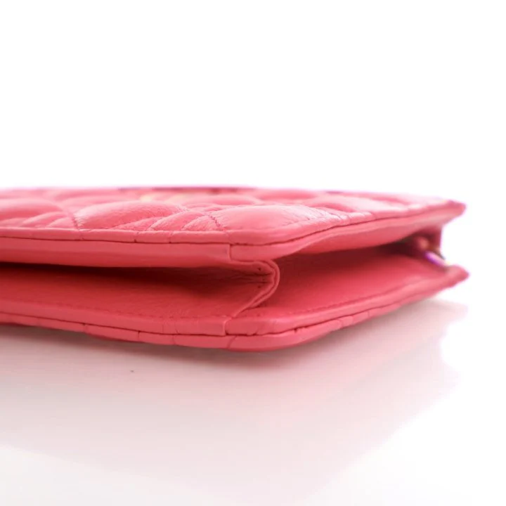 Dior Calfskin Caro Every Dior Pouch - Image 8