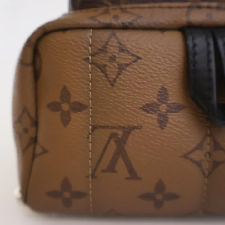 Louis Vuitton Reverse Monogram Palm Springs Mini - Image 10