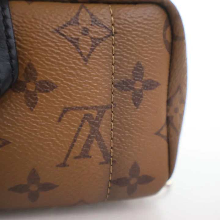 Louis Vuitton Reverse Monogram Palm Springs Mini - Image 11