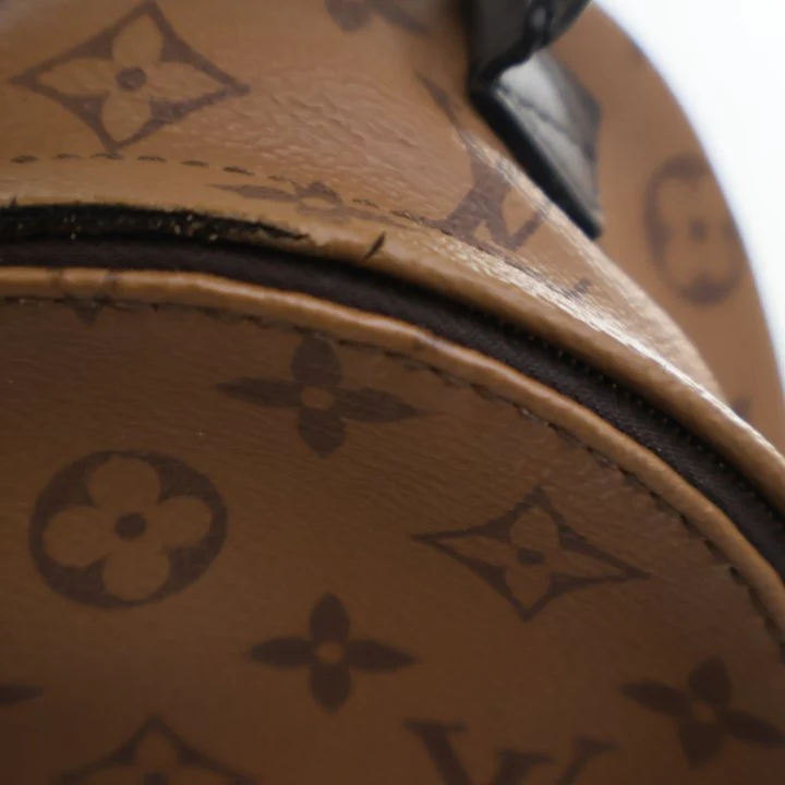 Louis Vuitton Reverse Monogram Palm Springs Mini - Image 17