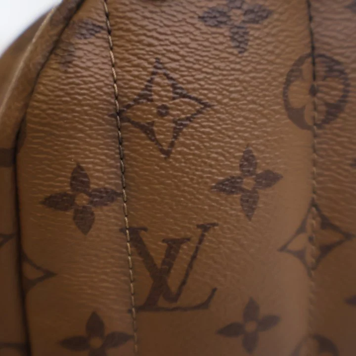 Louis Vuitton Reverse Monogram Palm Springs Mini - Image 18