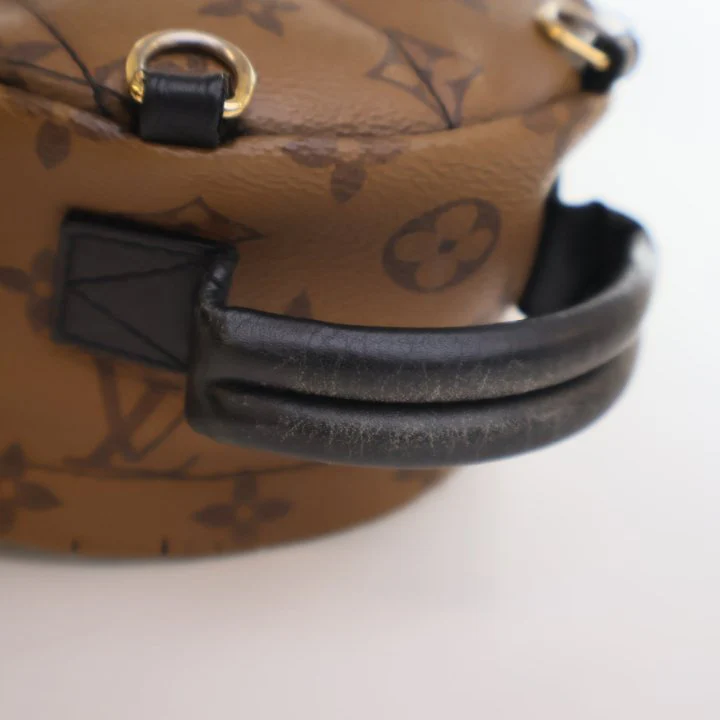Louis Vuitton Reverse Monogram Palm Springs Mini - Image 19