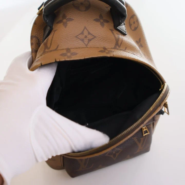 Louis Vuitton Reverse Monogram Palm Springs Mini - Image 20