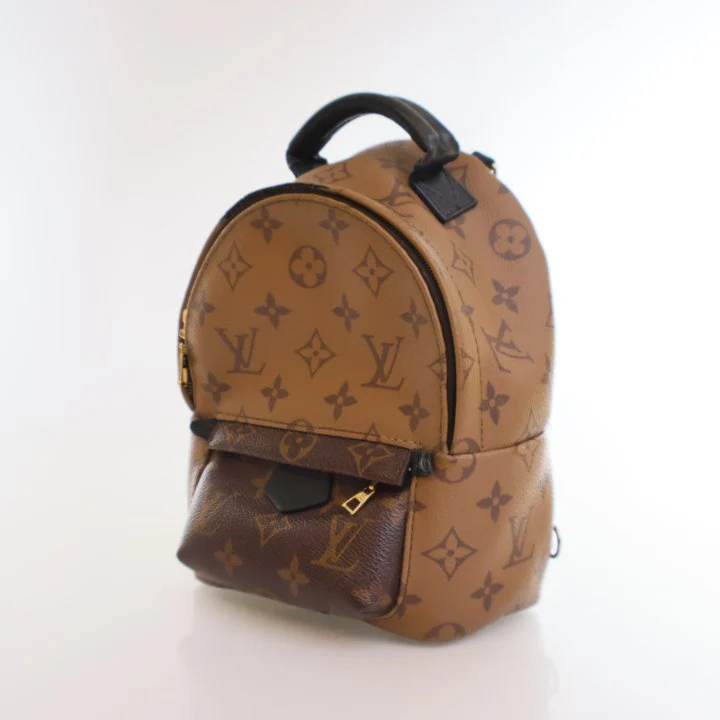 Louis Vuitton Reverse Monogram Palm Springs Mini - Image 3