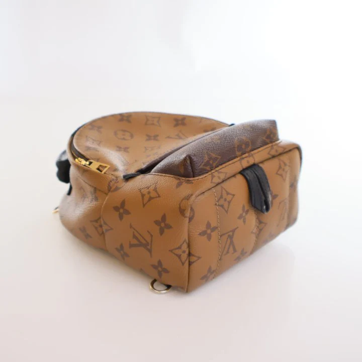 Louis Vuitton Reverse Monogram Palm Springs Mini - Image 5