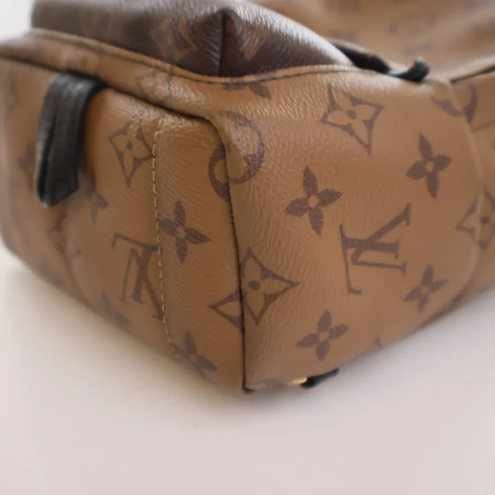 Louis Vuitton Reverse Monogram Palm Springs Mini - Image 8